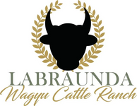 LaBraunda Cattle